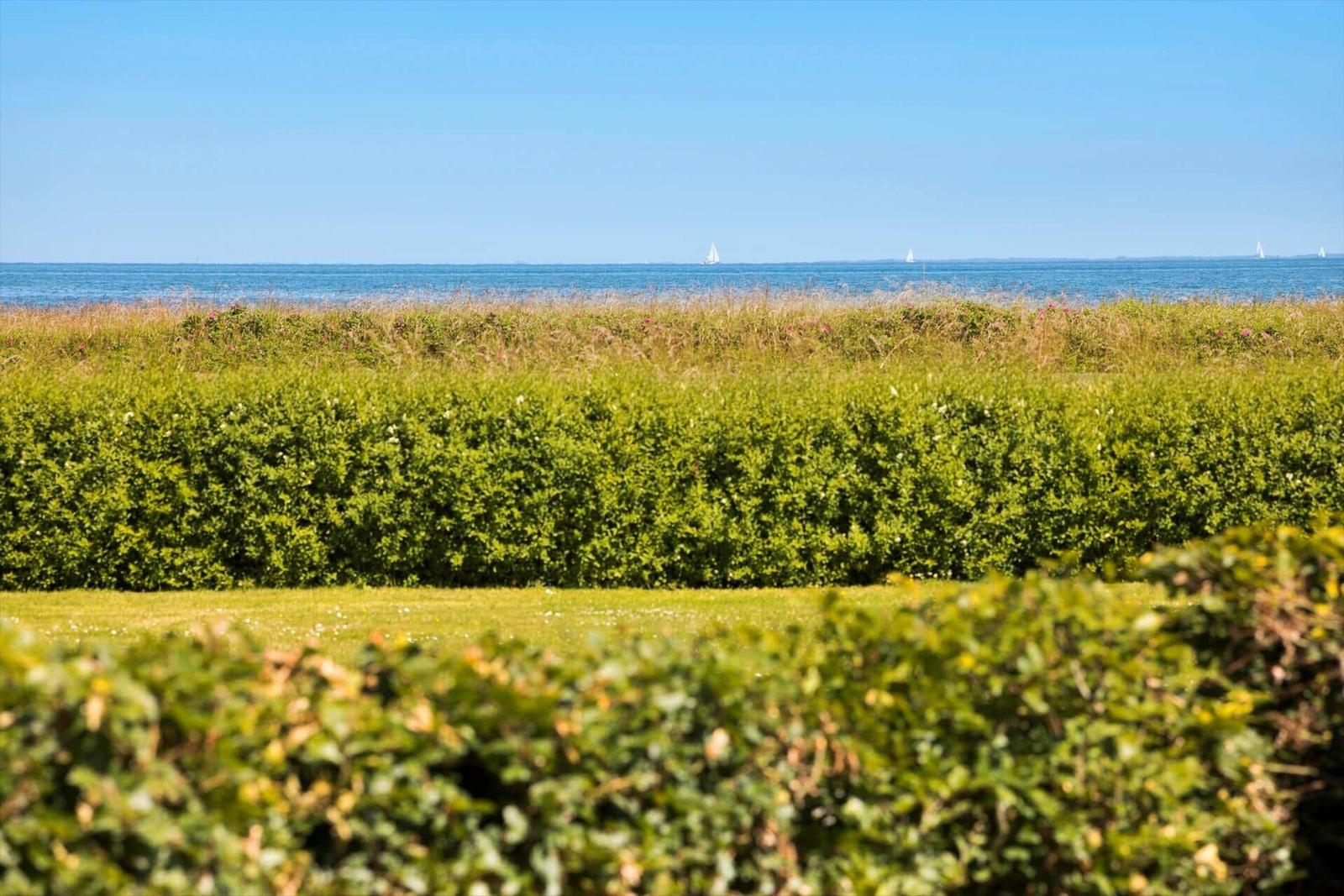 Strand mit Wellen, Sand und bewaldetem Ufer im Hintergrund unter blauem Himmel.