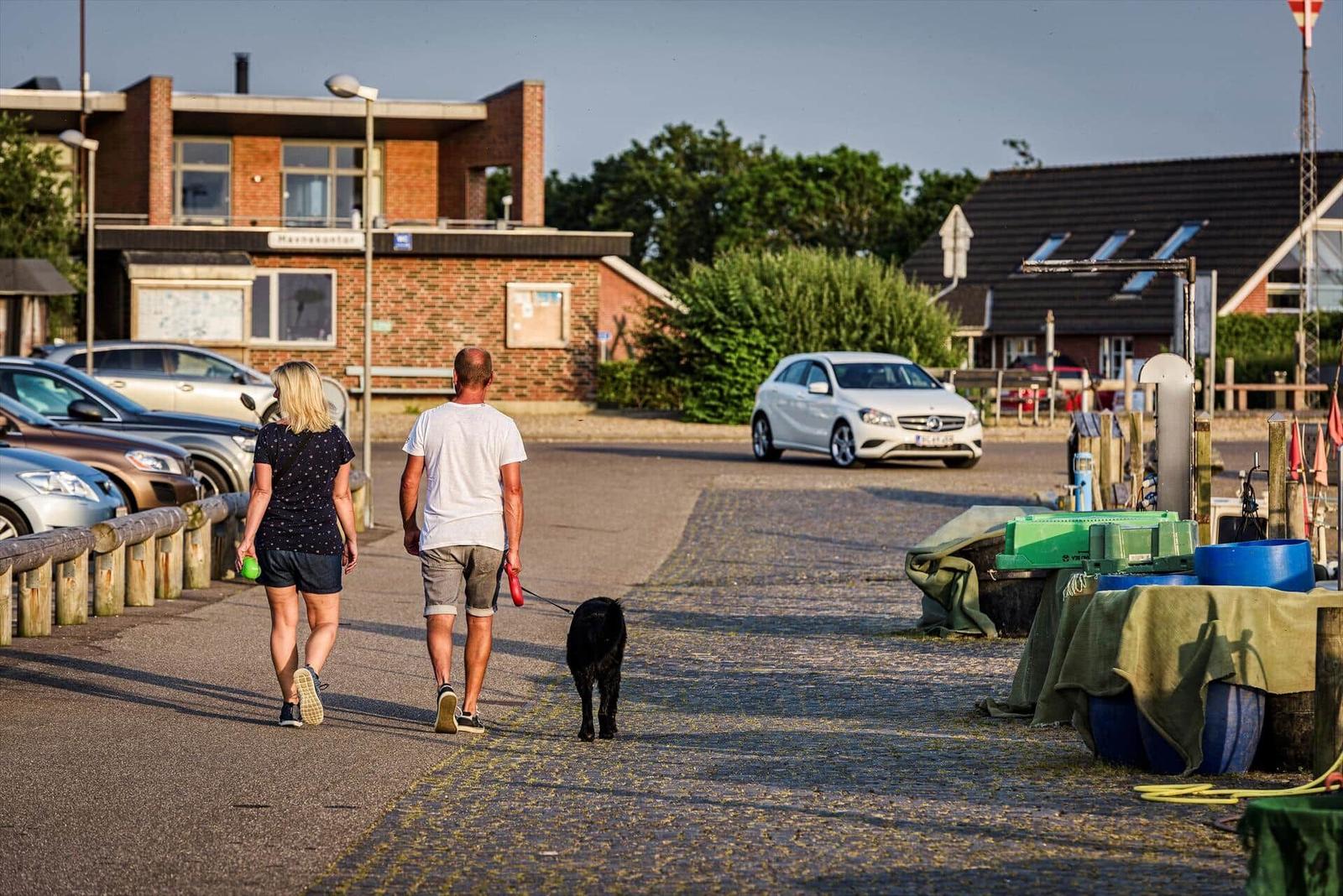 Ein Paar mit Hund spaziert auf einem gepflasterten Weg an Gebäuden und geparkten Autos vorbei.