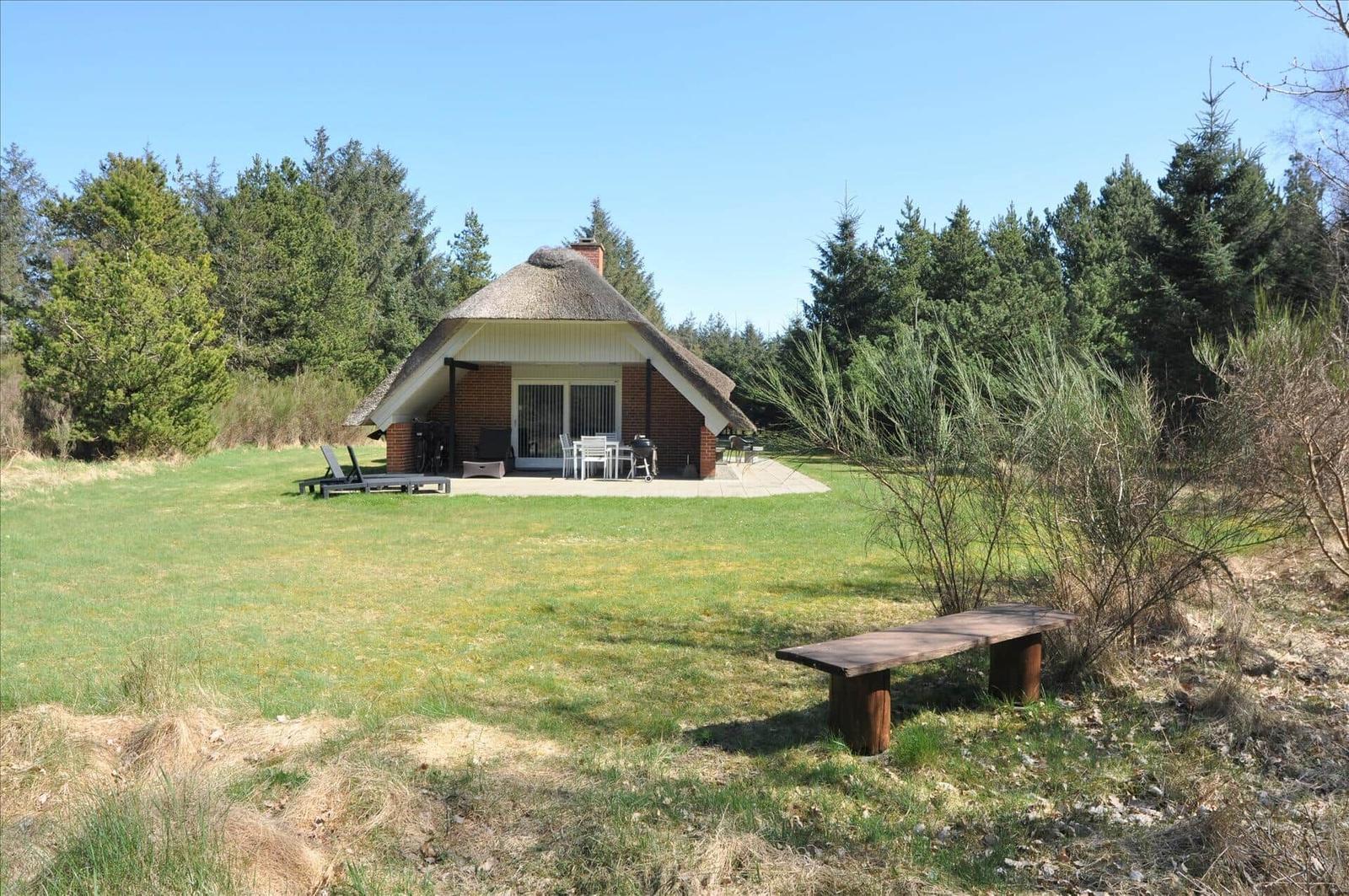 Hinterhof mit Schaukel, Klettergerüst und Holzbank unter Bäumen.