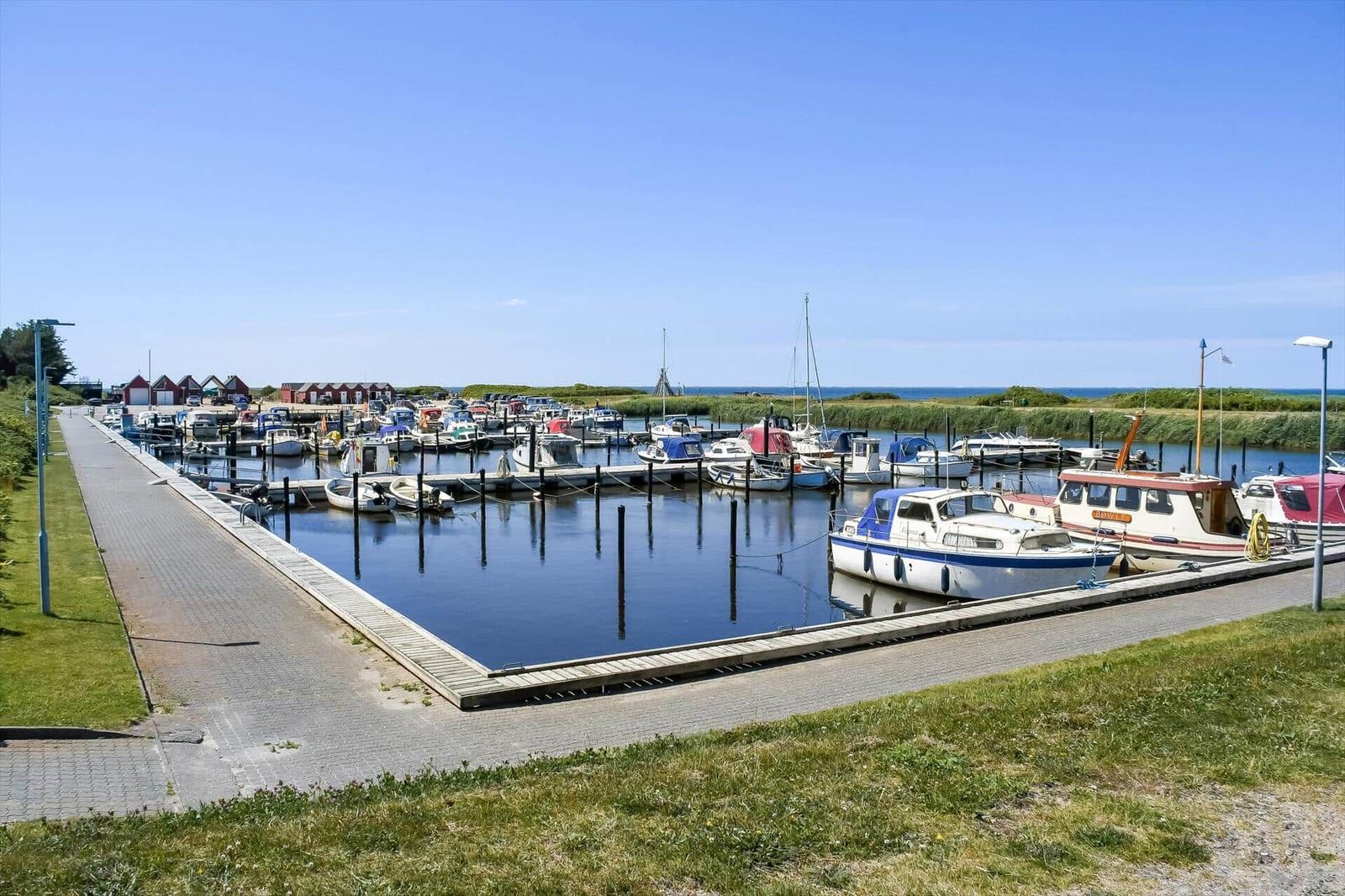 Hafen mit vielen Booten und Steg. Rote Häuser im Hintergrund.