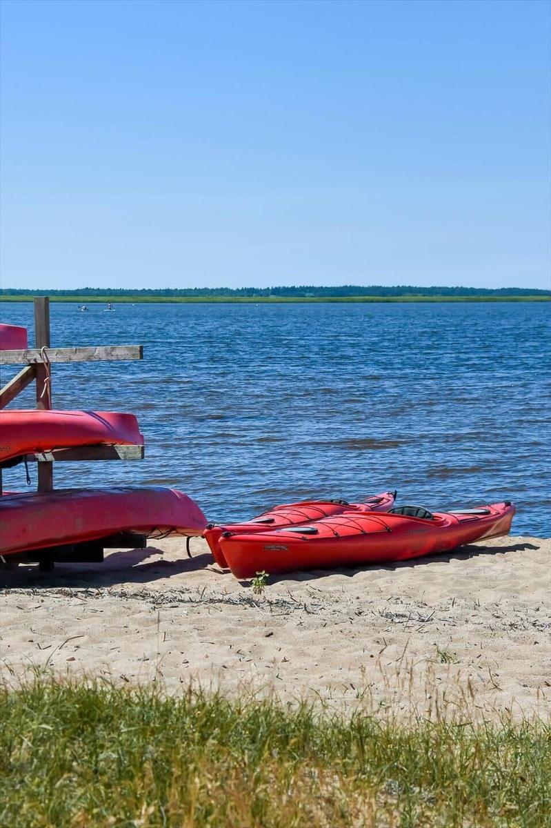 Two windsurfers on a lake with green and red sails.