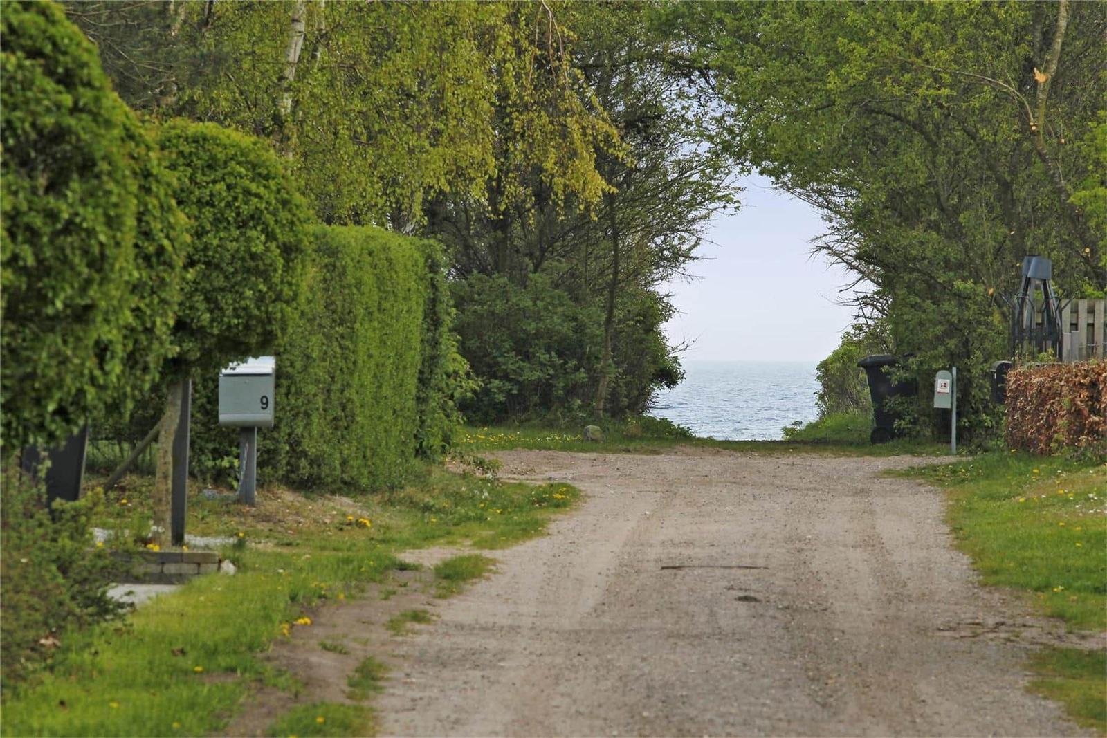 Drive with trees and hedges leads to a vacation home. View of the sea in the background.