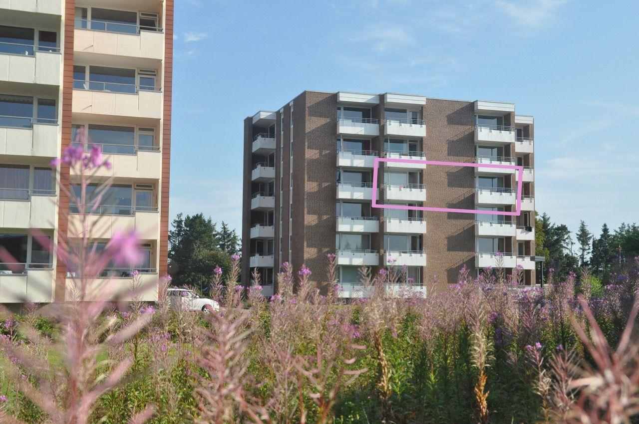 Haus mit Blick aufs Meer und grüne Landschaft