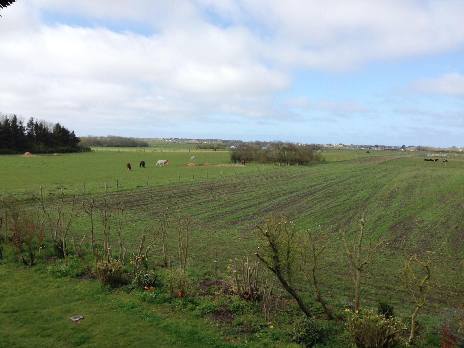 Weite grüne Wiesen mit Pferden und Kühen. Blick auf Felder und Bäume unter blauem Himmel.