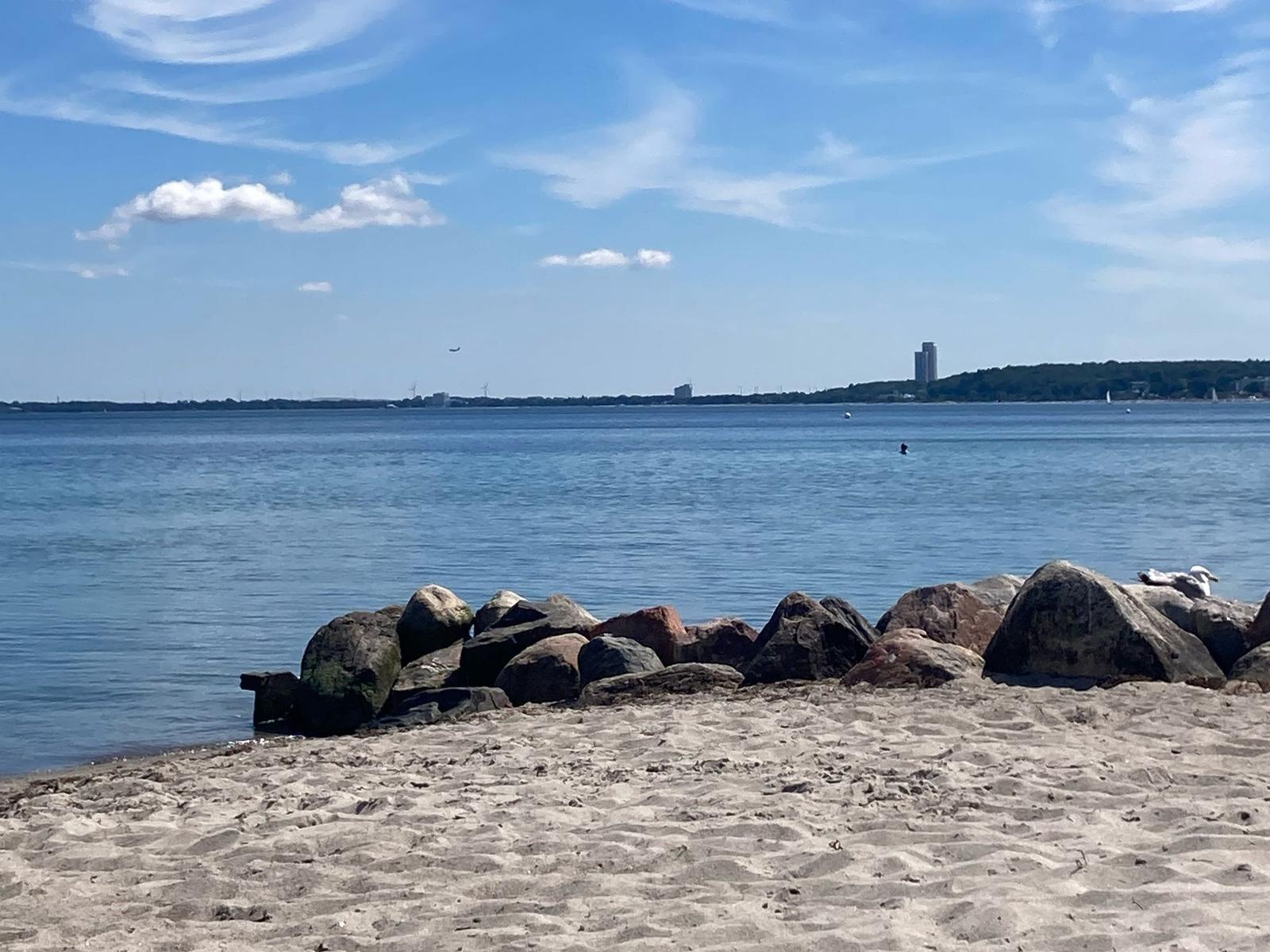 Mehrere Enten schwimmen im ruhigen Wasser bei Sonnenuntergang.
