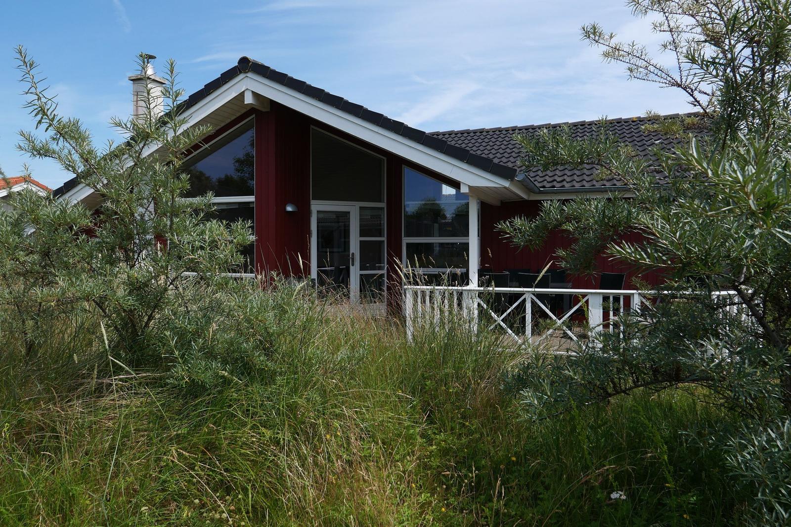Grundriss von Haus C mit drei Schlafzimmern, Küche, Bad, Sauna und Terrasse.