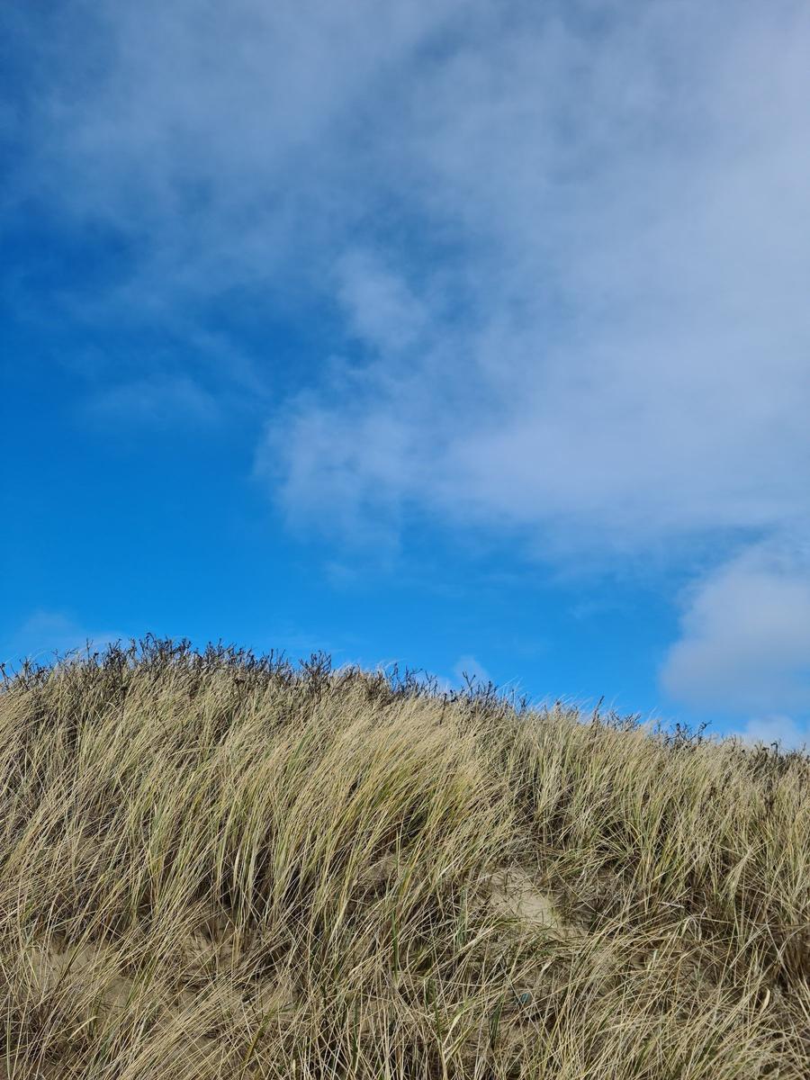 Ein mehrstöckiges Gebäude mit roten und weißen Fassaden ist von Dünen mit Gras umgeben.