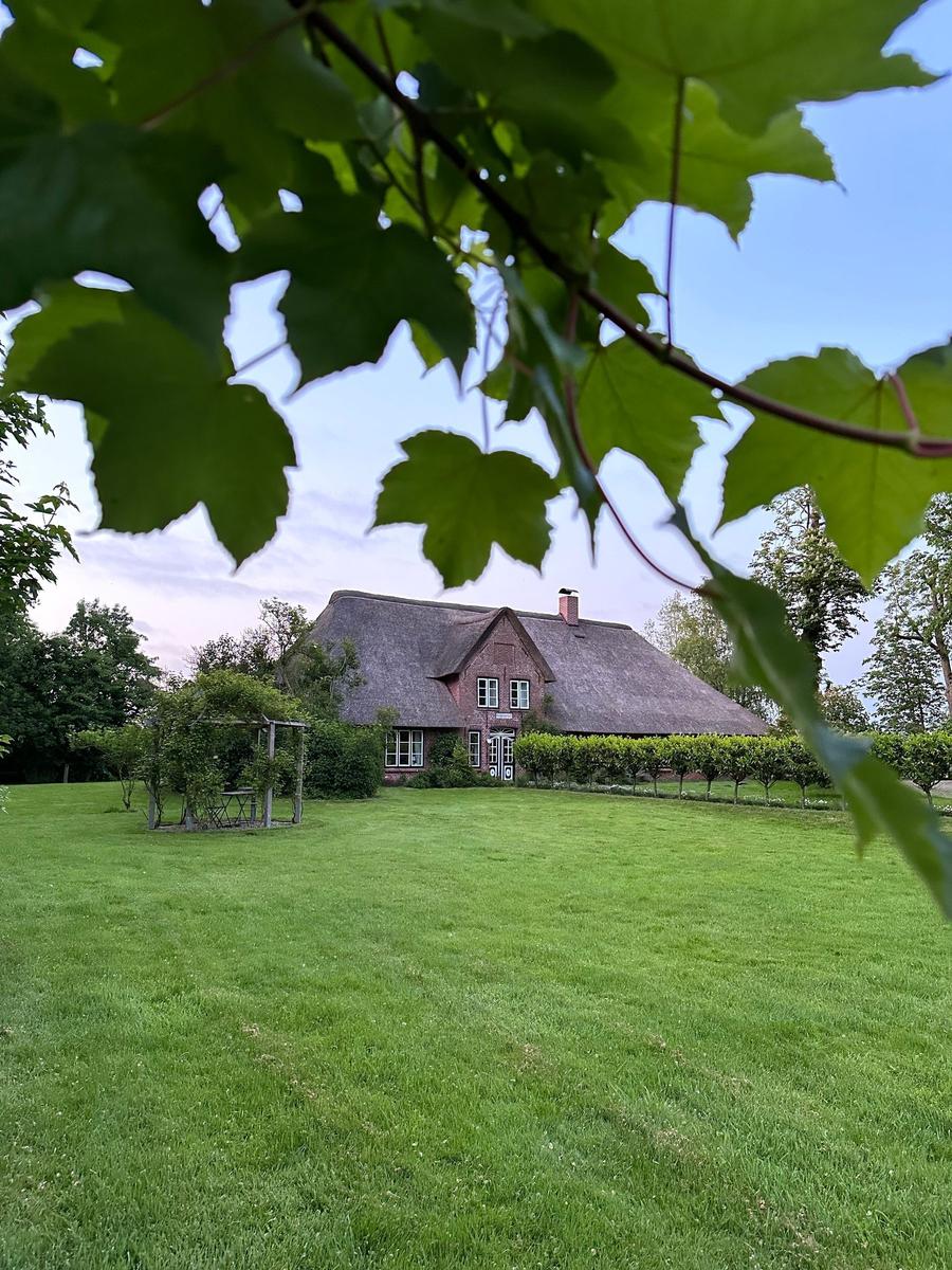 Garten mit Tisch, Bänken und Rasenfläche umgeben von hohen Bäumen und Sträuchern.