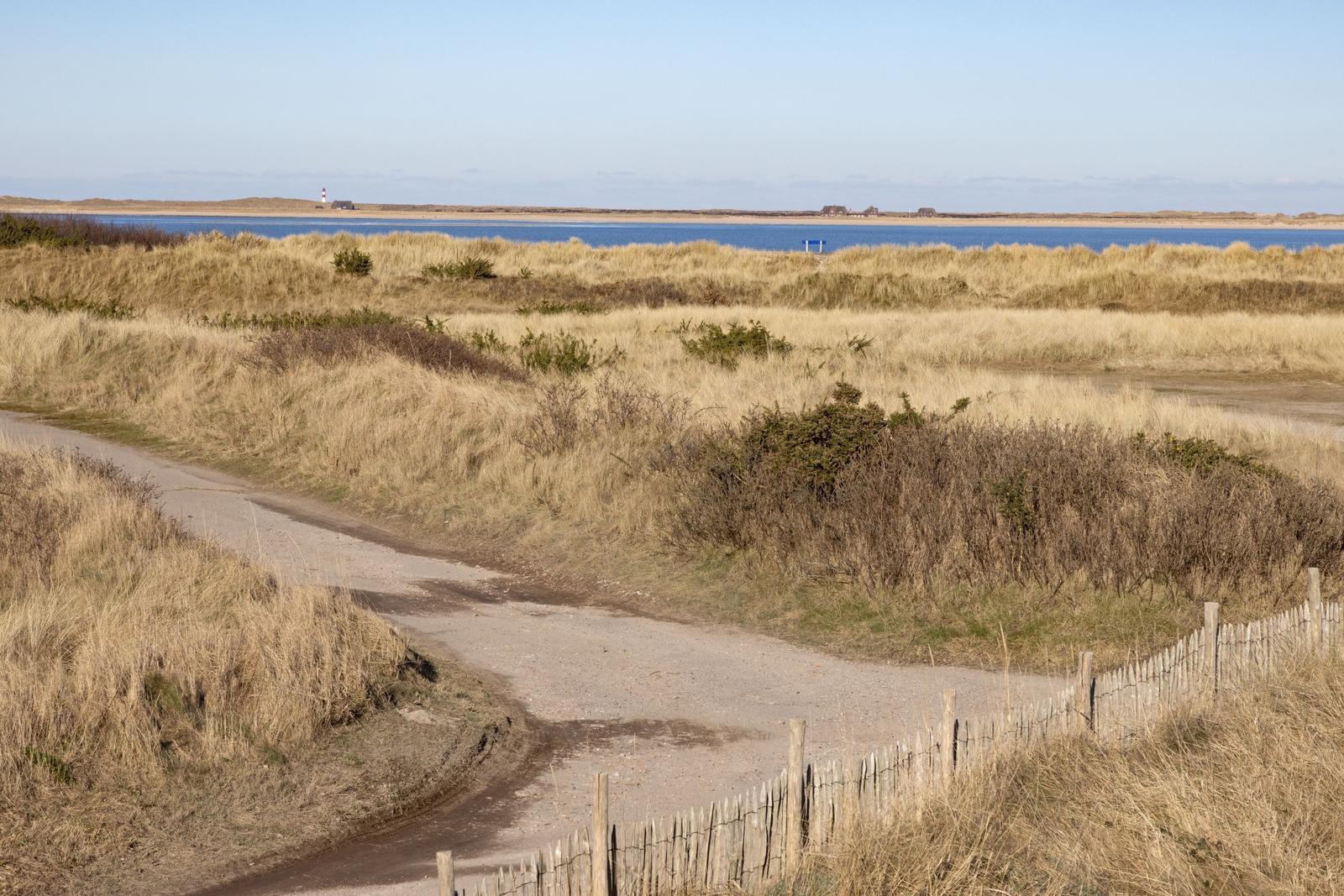 Strandlandschaft mit Leuchtturm und Dünen im Hintergrund