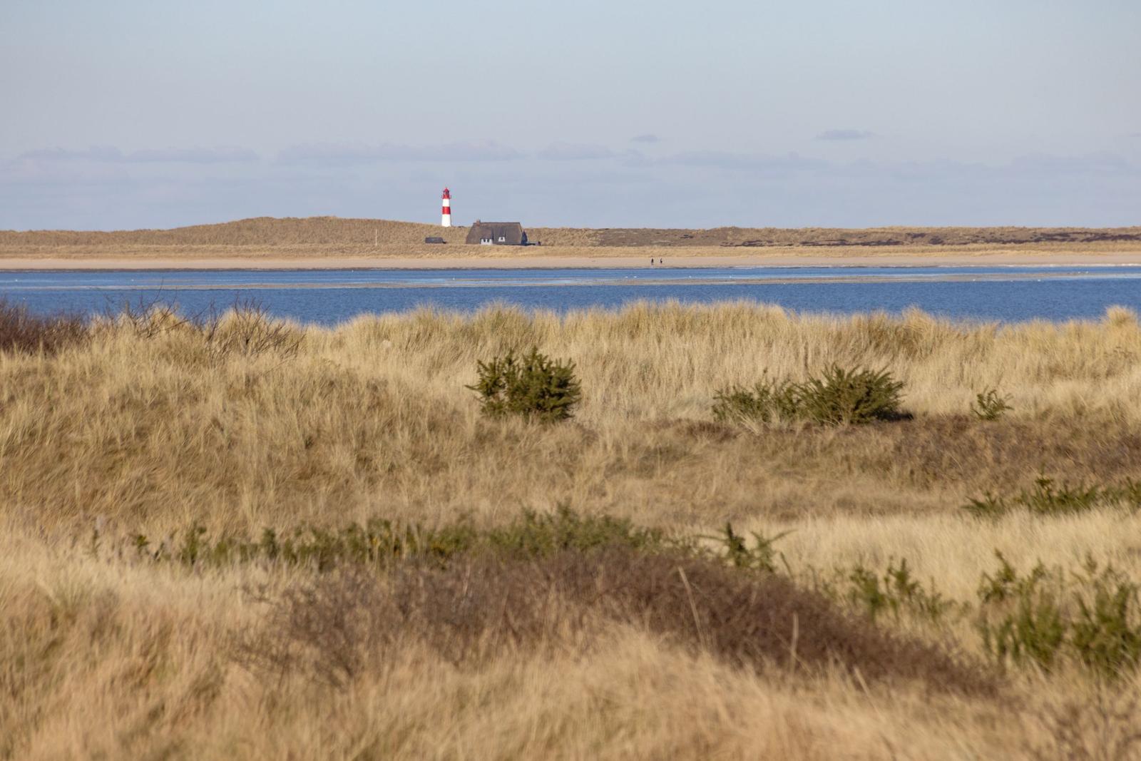 Dünenlandschaft mit Blick auf Wasser und Leuchtturm in der Ferne.