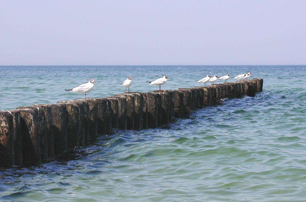 Altes Anglerboot am Strand