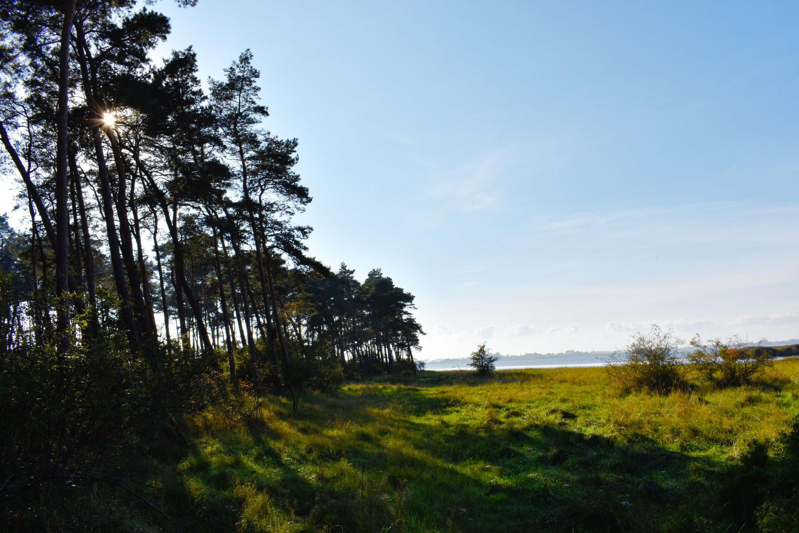 Ein See mit Grasland im Vordergrund und einer Wolke am Himmel.