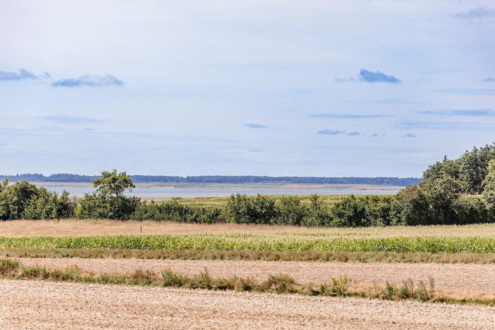 Landschaft