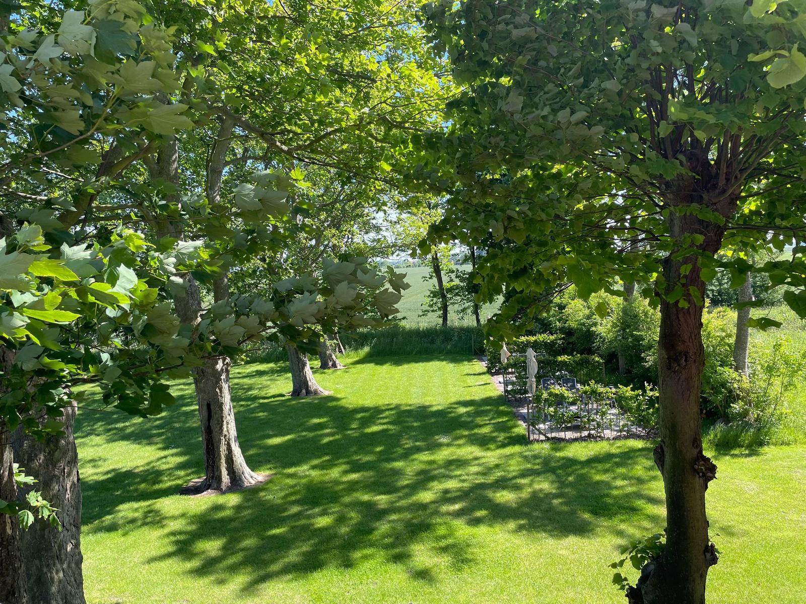 Erdgeschoss mit Wohnbereich, Küche, Schlafzimmer und Terrasse