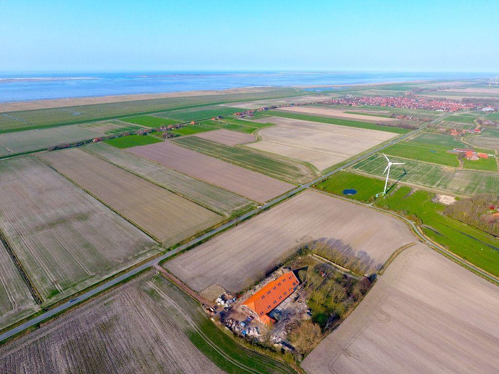 Hinterhof mit grünem Rasen, Bäumen und Terrasse. Hauswand und Sonnenschutz sichtbar.