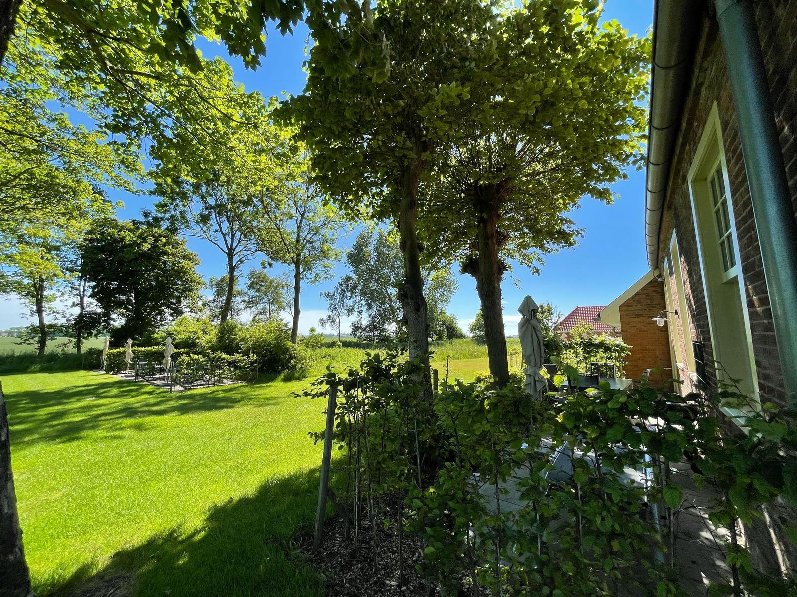 Grünes Grasfeld mit Holzstümpfen um einen runden Feuerbereich. Im Hintergrund steht ein Haus mit rotem Dach.