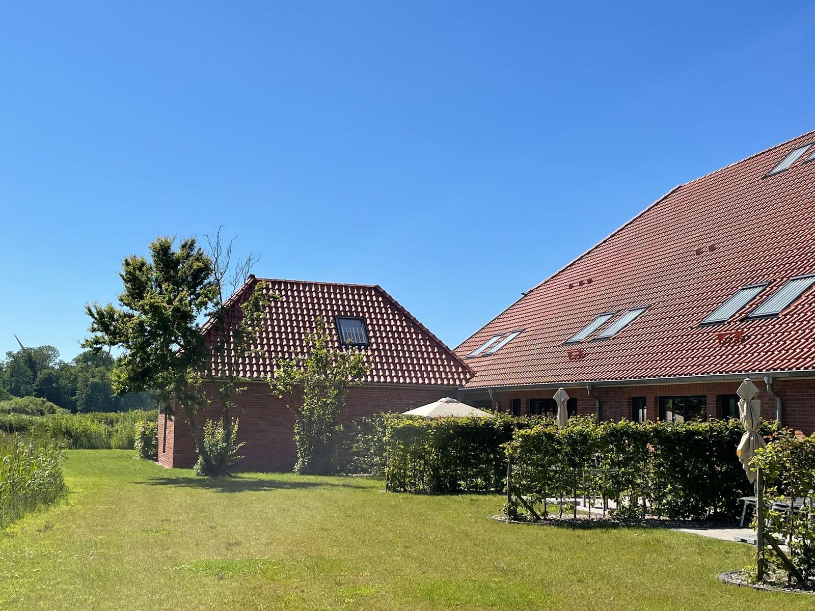 Green lawn area with trees and garden space in the background.
