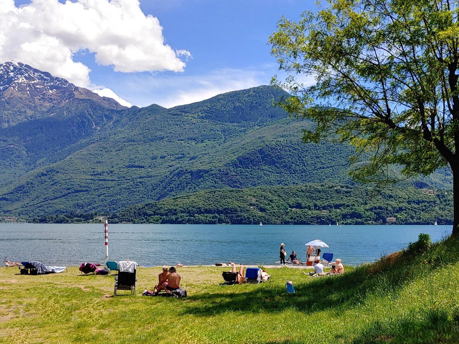 Uferpromenade mit Bänken, Palmen und Blick auf das Wasser und Häuser.