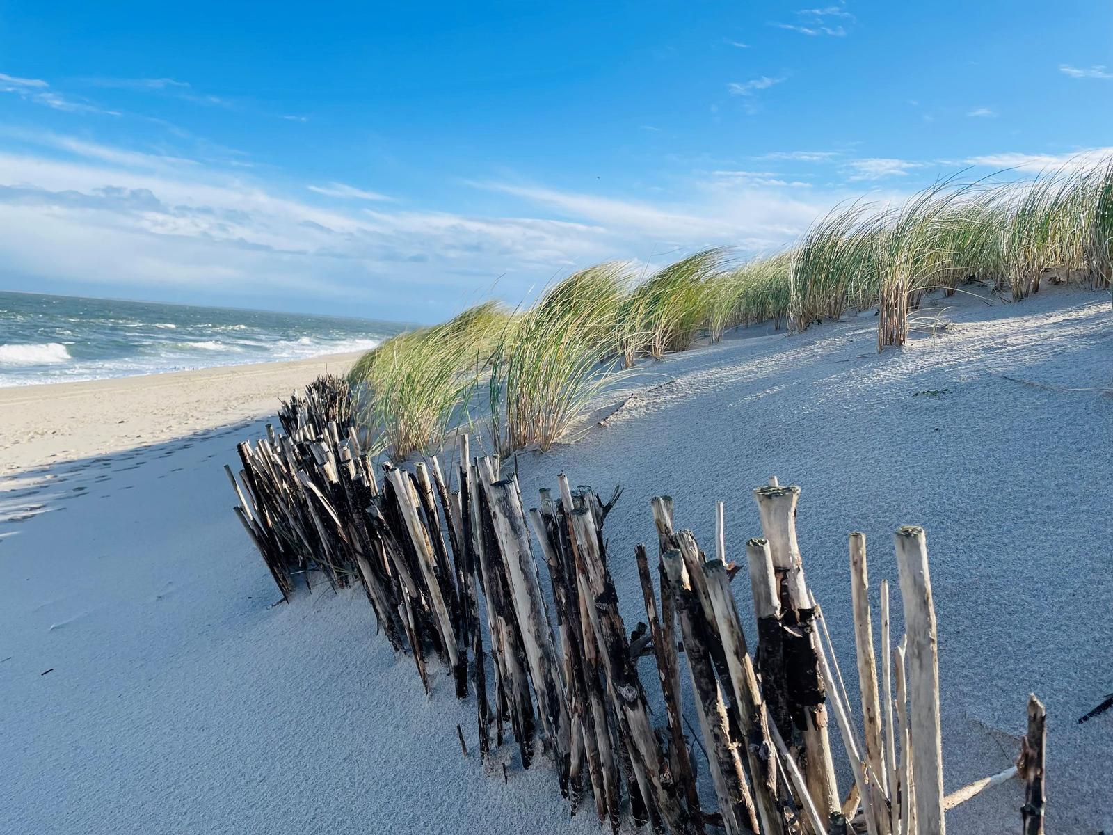 Beach with dunes, grasses, and wooden fences. View of the sea under a blue sky.