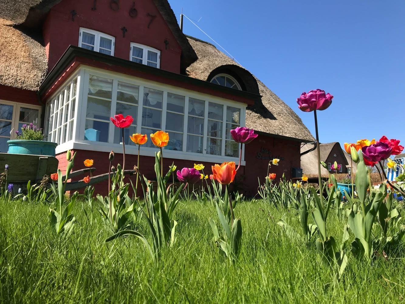 Grundriss der Ferienwohnung Goodshenk in Süddorf auf Amrum