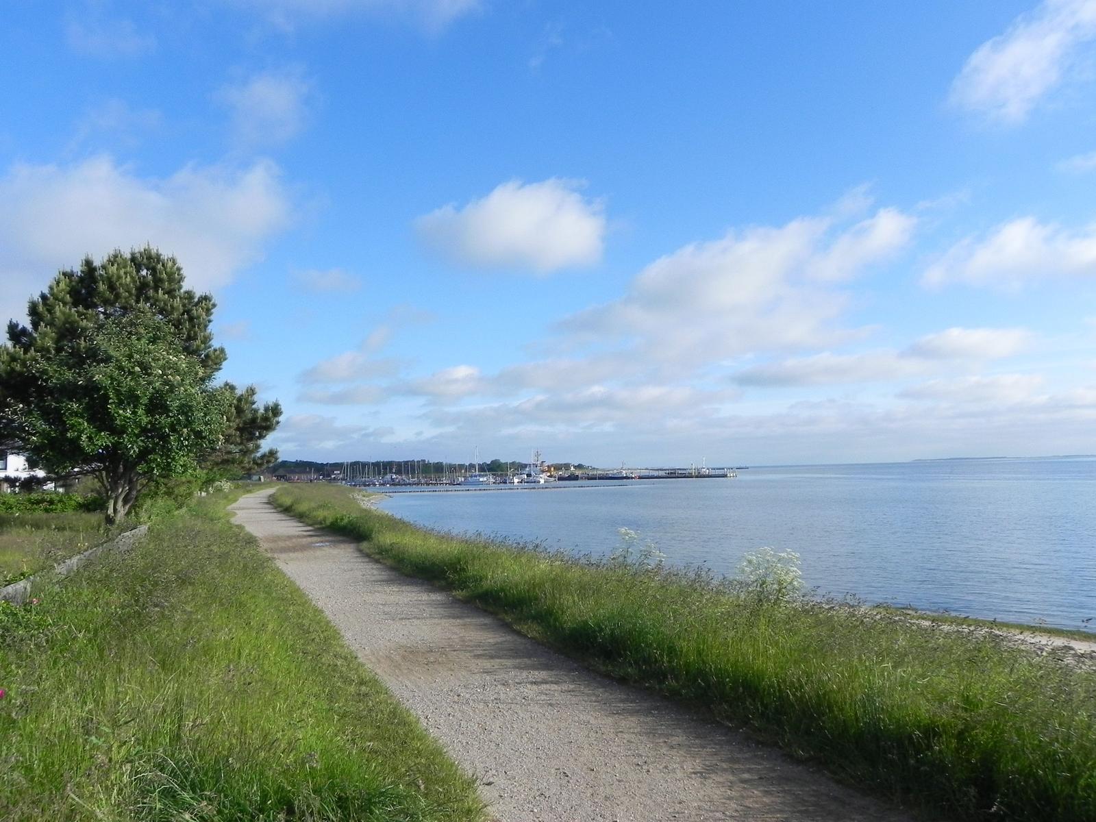 Strand mit Wellen, Sand und klarem Himmel. Ein paar Vögel fliegen über das Meer.
