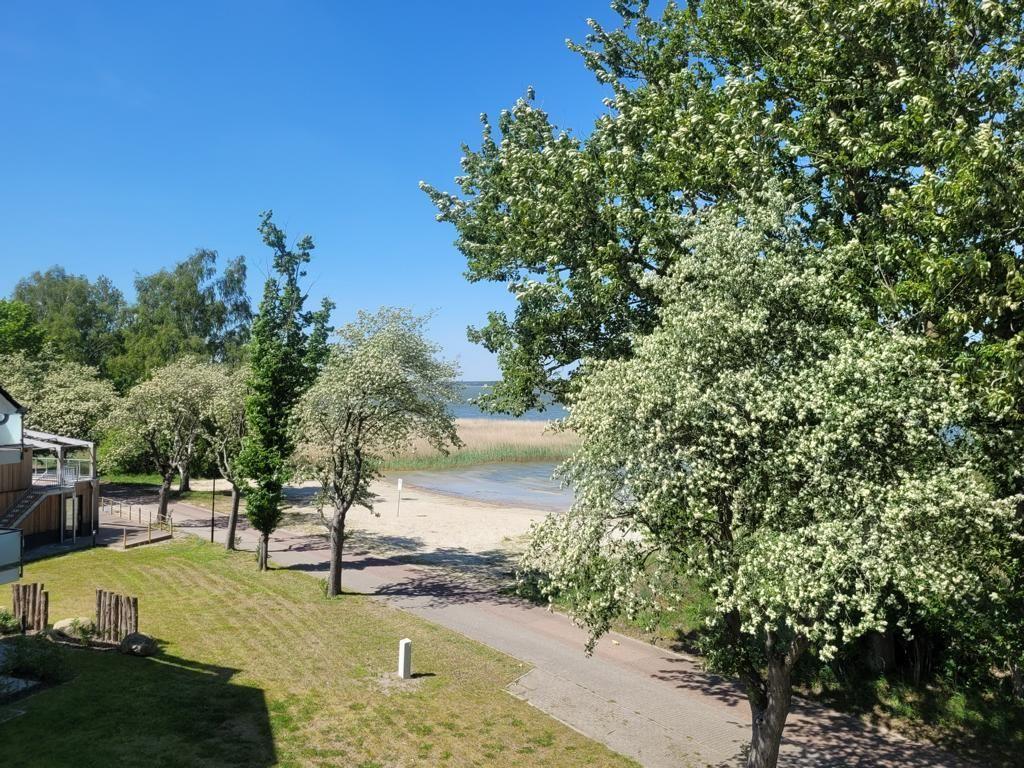 Blick auf einen Strand mit Bäumen und einem Haus im Hintergrund.
