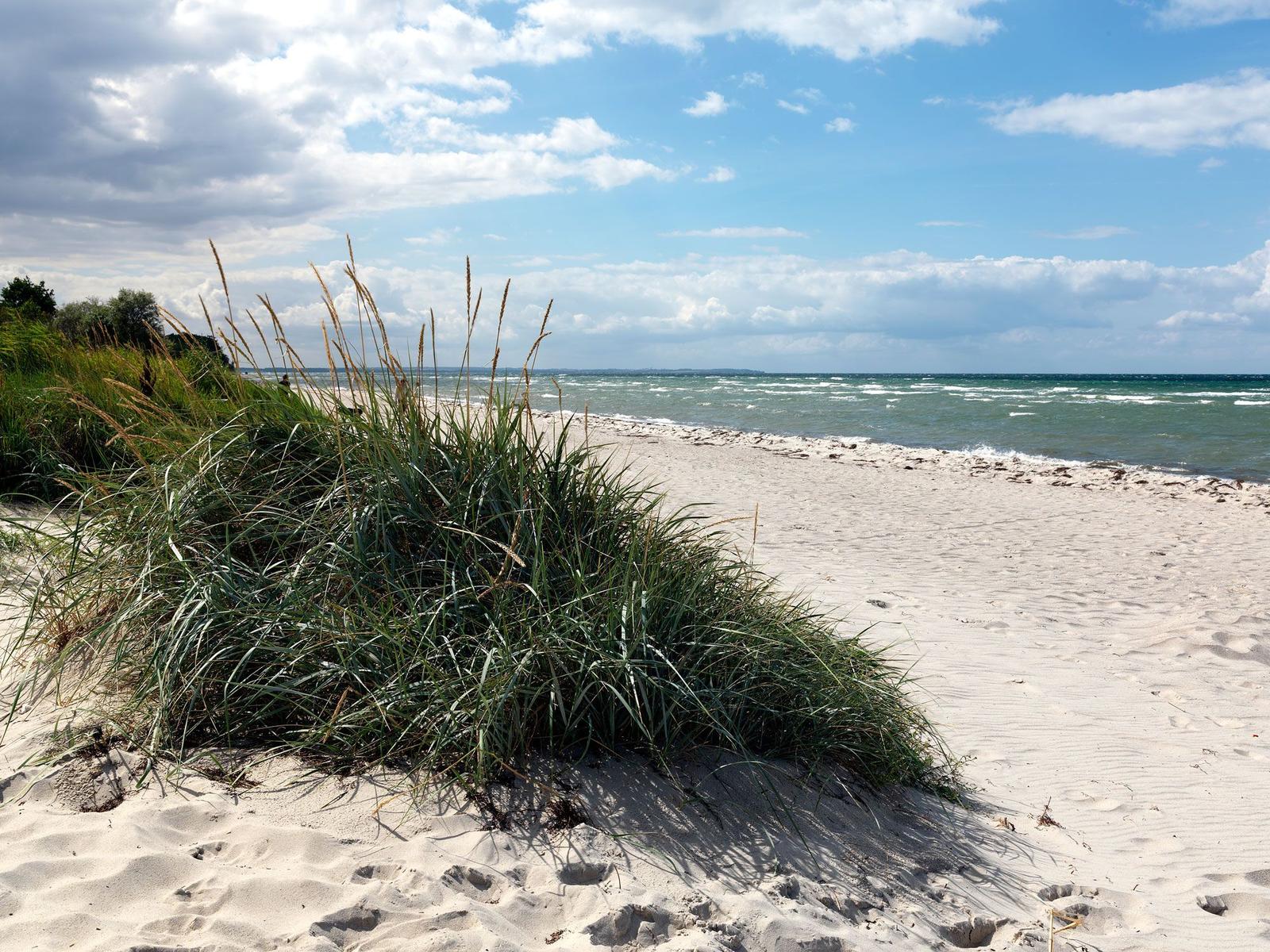 Strand mit sandigem Ufer und steiler, grasbewachsener Klippe unter blauem Himmel.