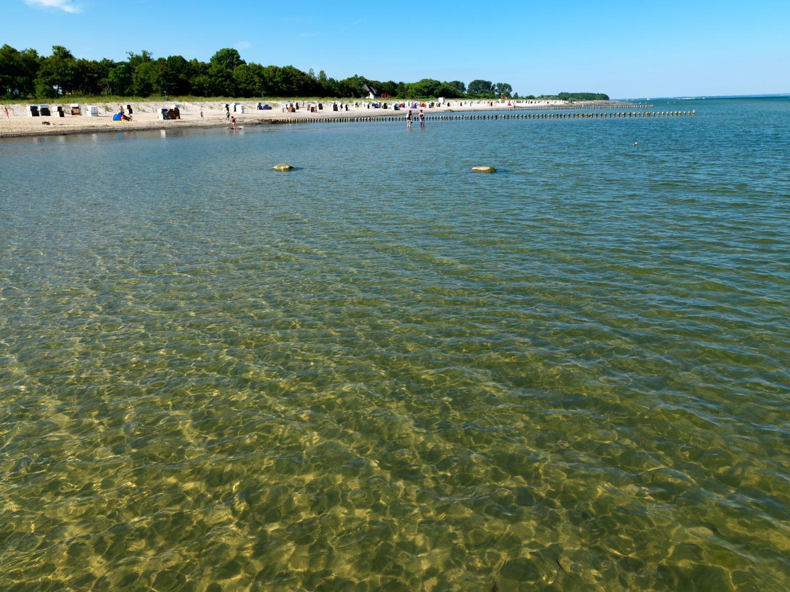 Wanderweg durch Sanddünen zu einem Strand mit Meer.