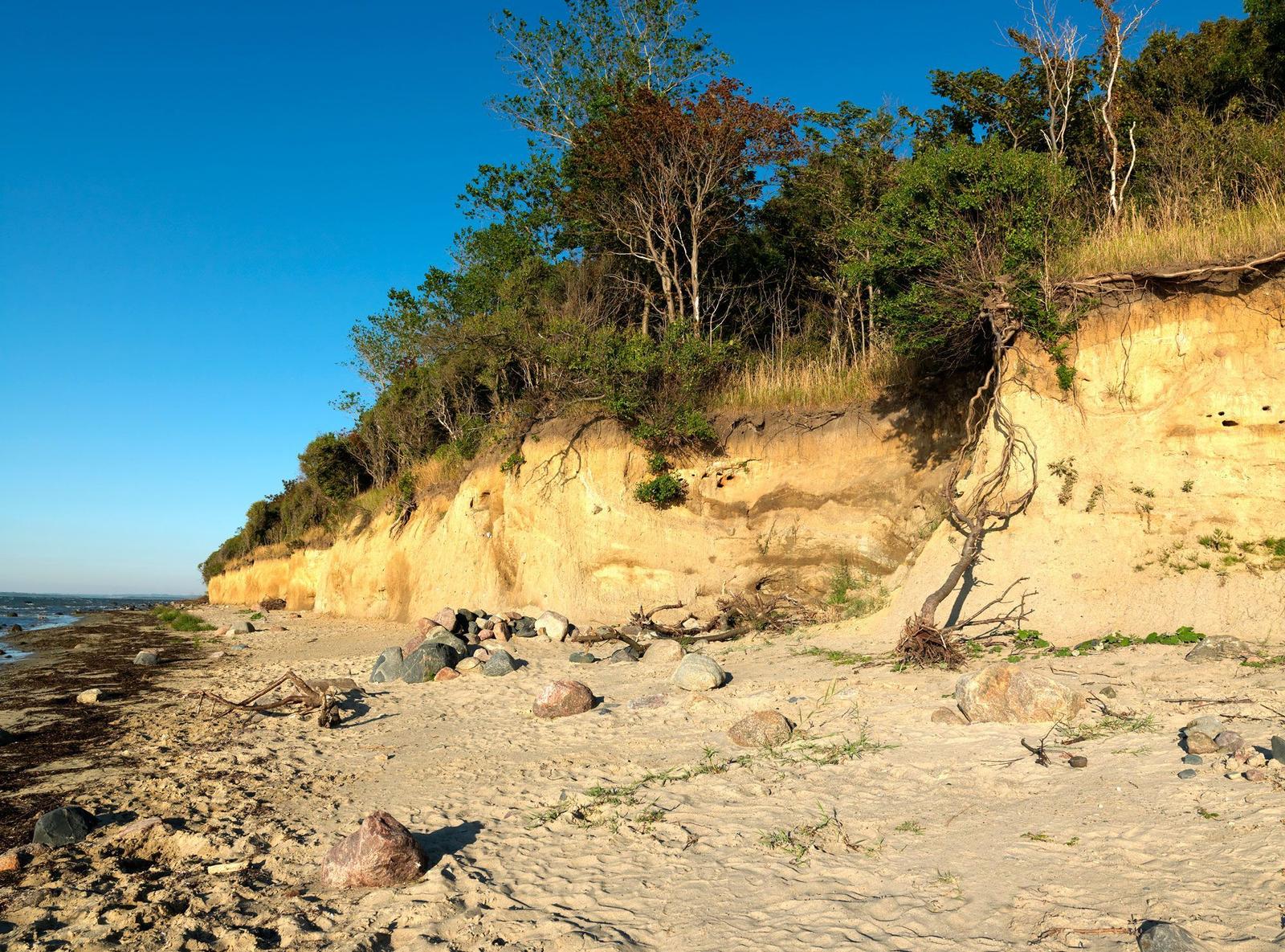 Strand mit weißen Strandkörben und Dünen mit gelben Blumen.