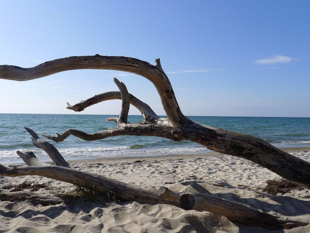 Kilometerlanger Sandstrand im Ostseeheilbad Zingst