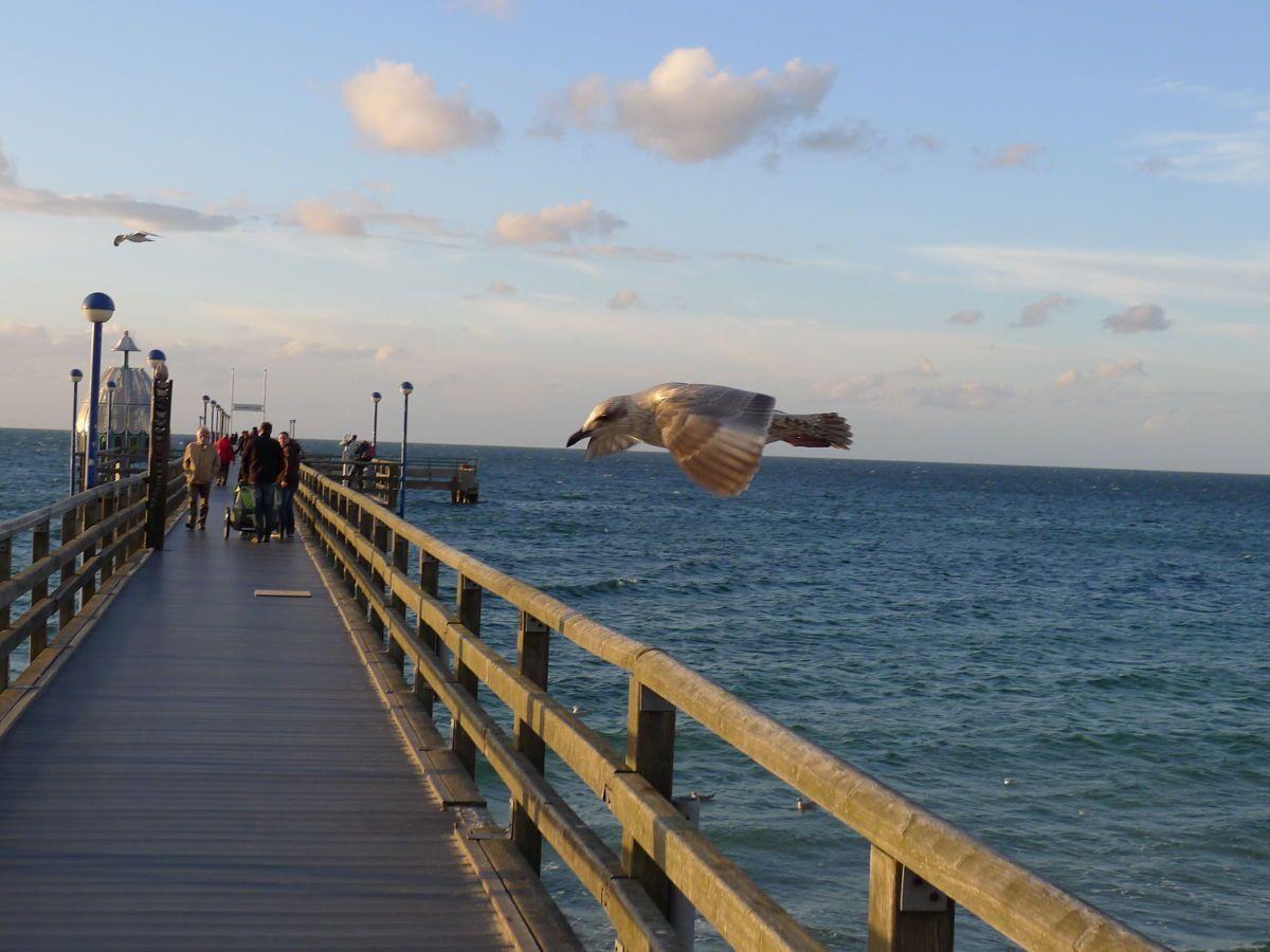 Seebrücke in Zingst