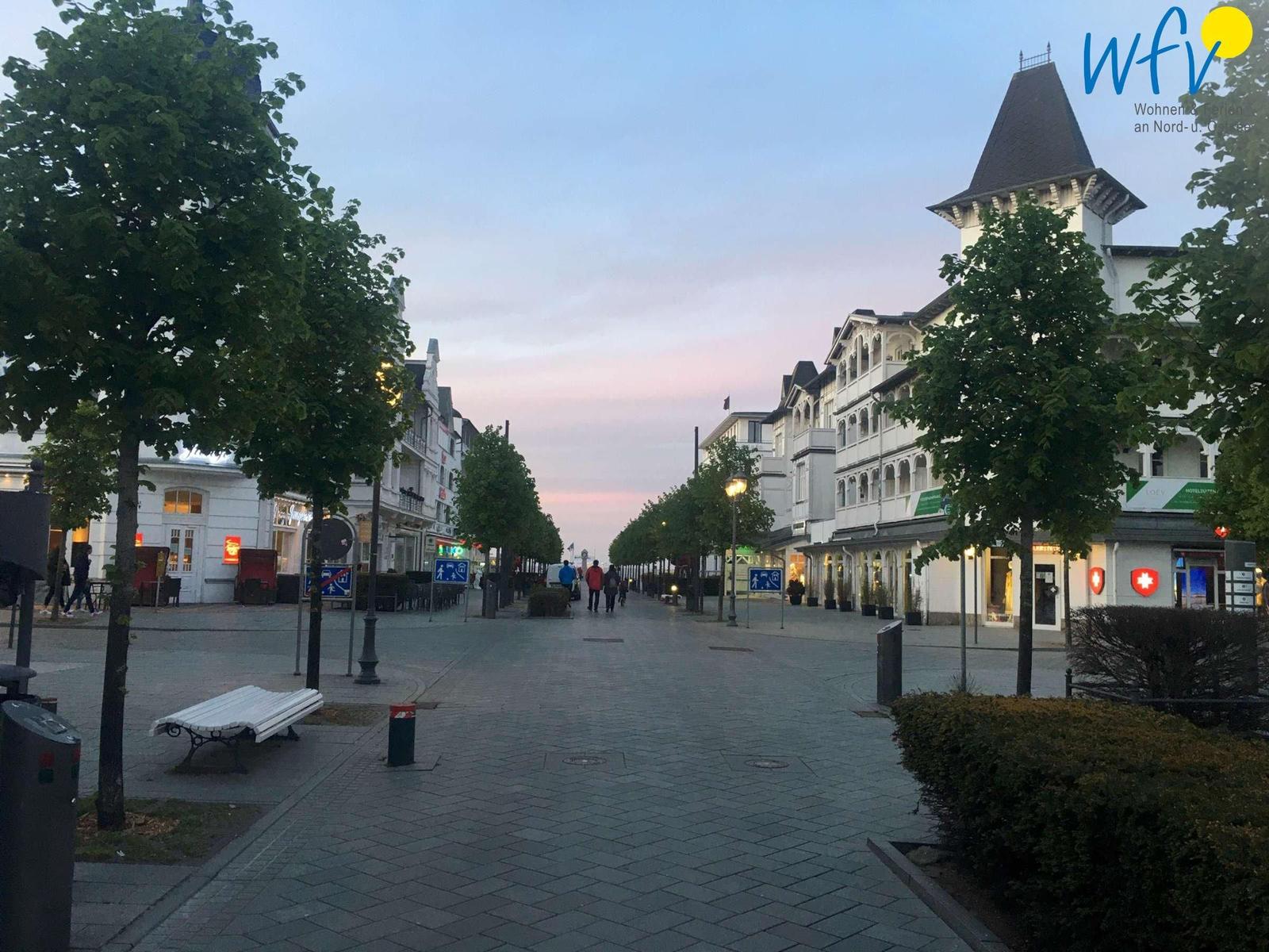 Gepflasterter Weg entlang eines Sees mit Bäumen und einer Bank.