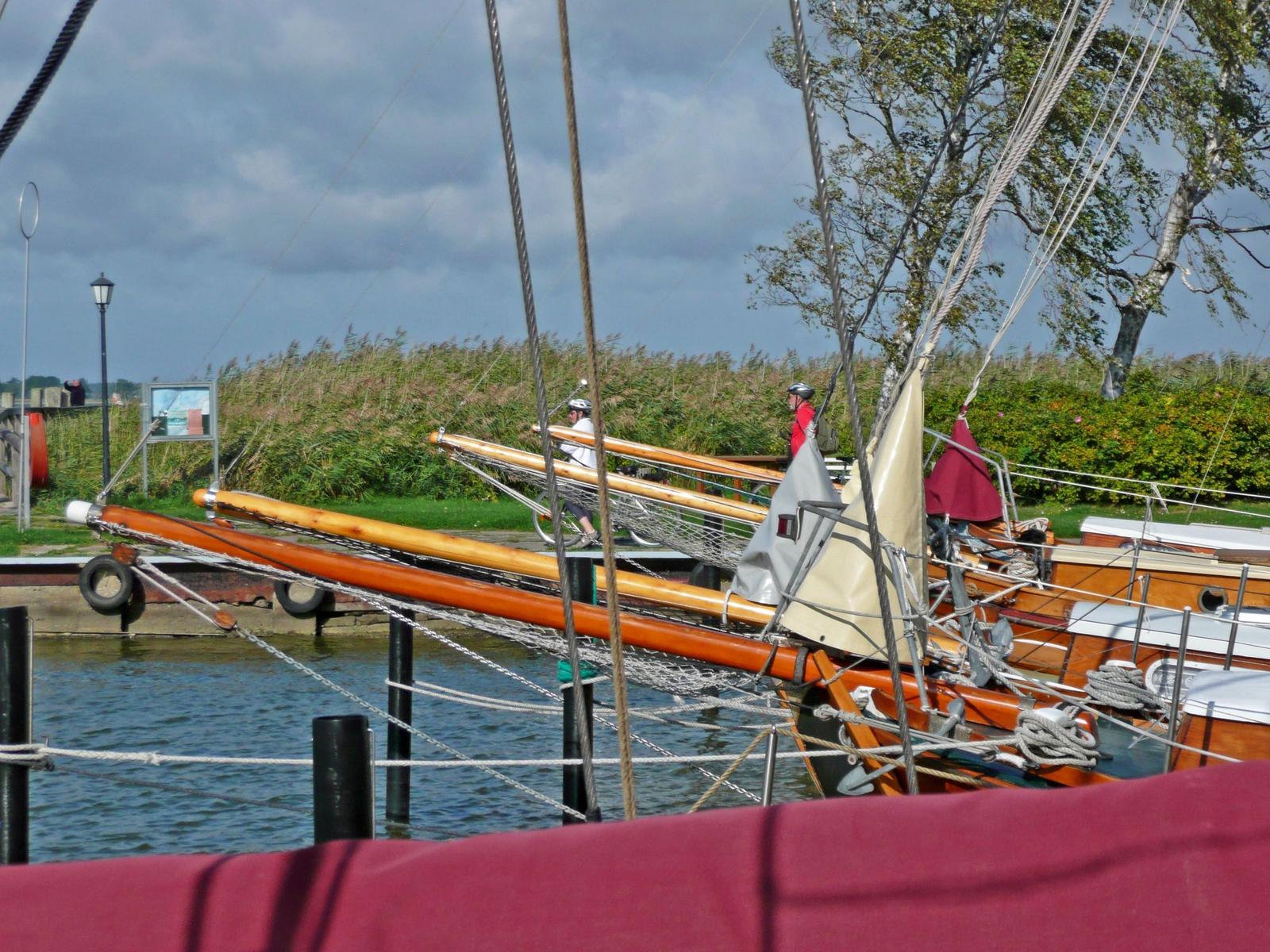 Hafen mit traditionellen Holzbooten und grüner Uferpromenade.