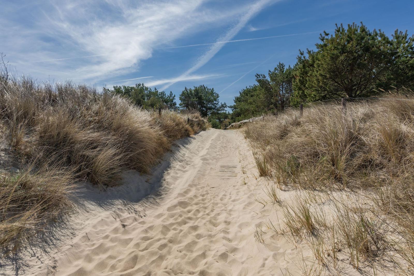 Holzweg durch Pinienwald zum Strand. Bank und Fahrradständer am Weg.