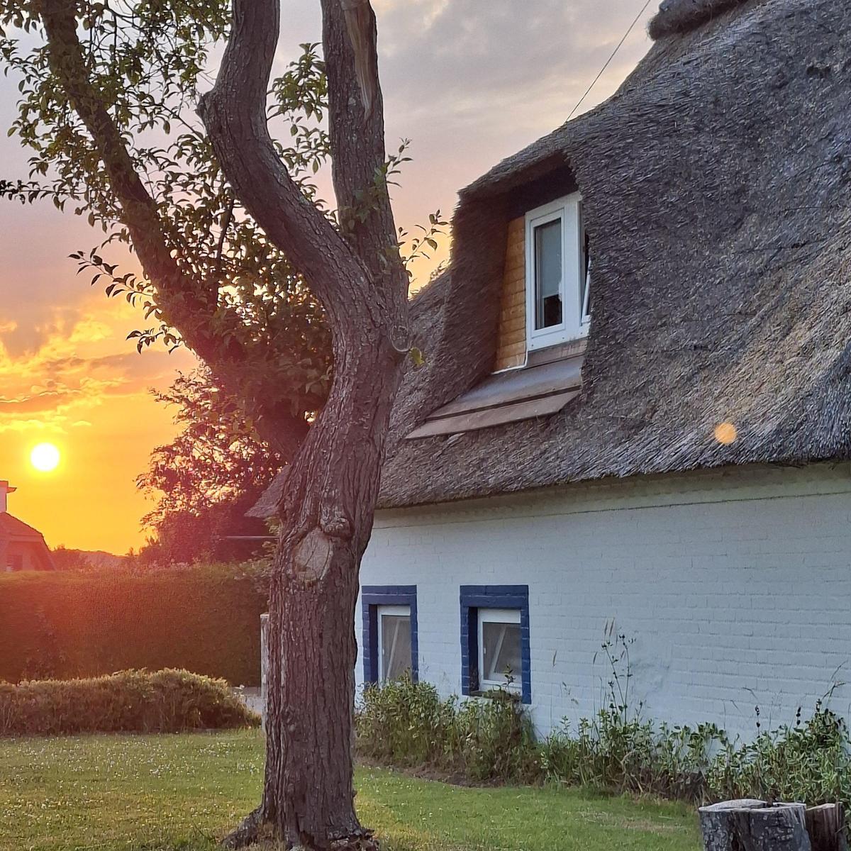 Sonnenuntergang über Wasser mit Pfählen und Reflexionen