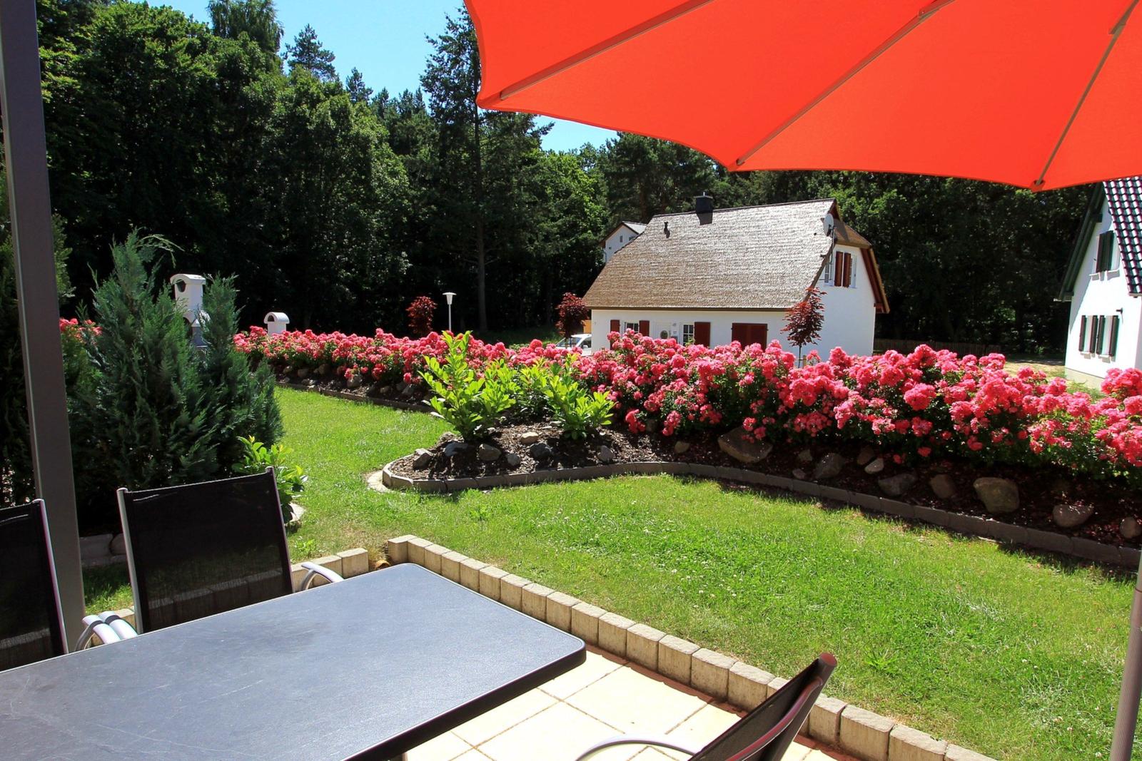Farbenfroh blühende Rosenbeete am Rande des strandnahen Ferienhauses