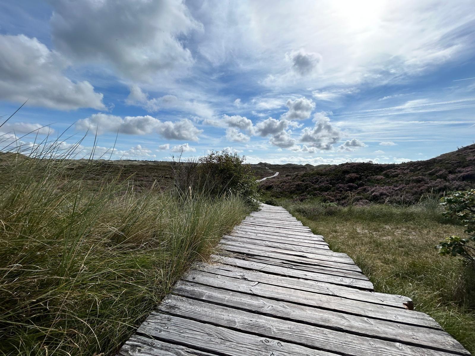 Bohlenweg Heide Himmel