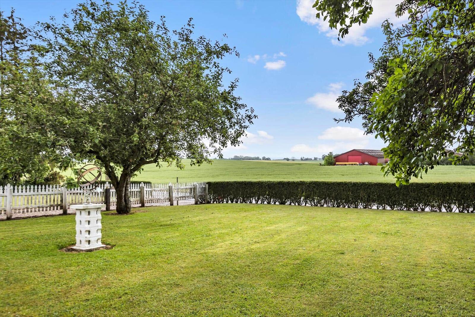 Outdoor area with table and chairs under trees. Backyard with hedge and field.
