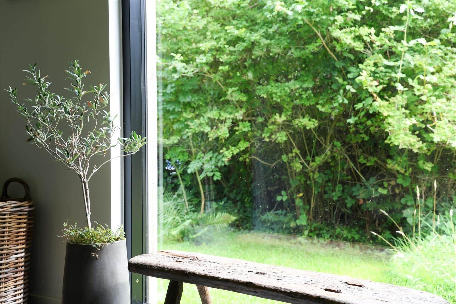 Holzterrasse mit Sitzgruppe und Pflanzen. Hintergrund: Wald mit Bäumen.