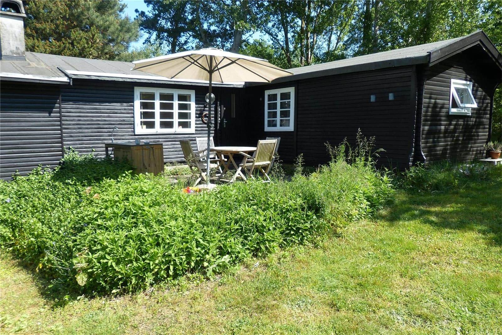 Zwei hölzerne Liegestühle und ein Tisch stehen im grünen Garten unter Bäumen.