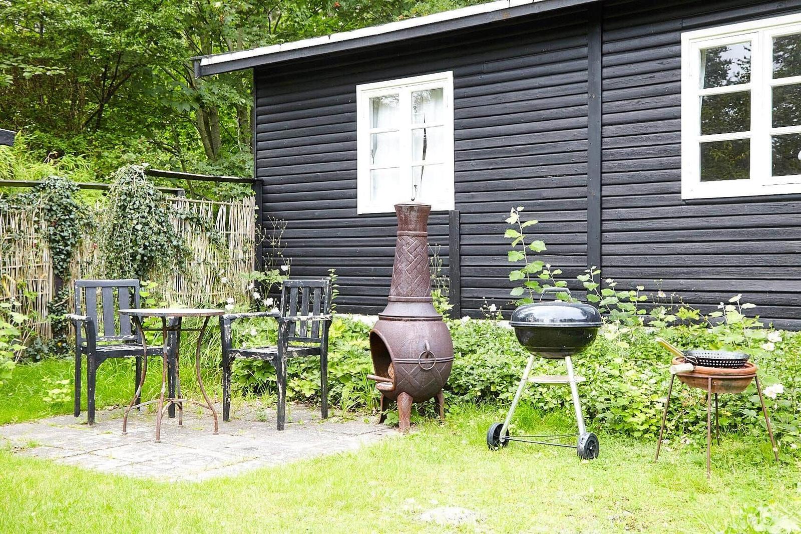 Hinterhof mit Holzschuppen, Schaukel und rustikalen Sitzbänken im Gras.