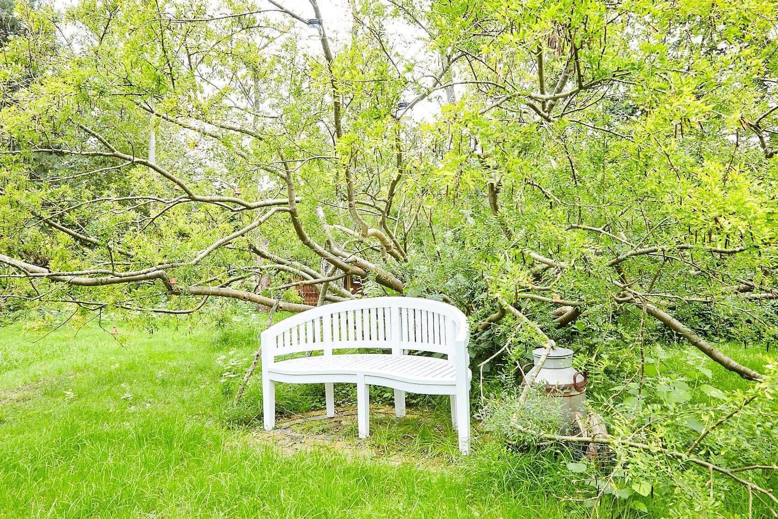 Wohnung mit Schlafzimmer, Küche, Bad und zwei Wohnbereichen.