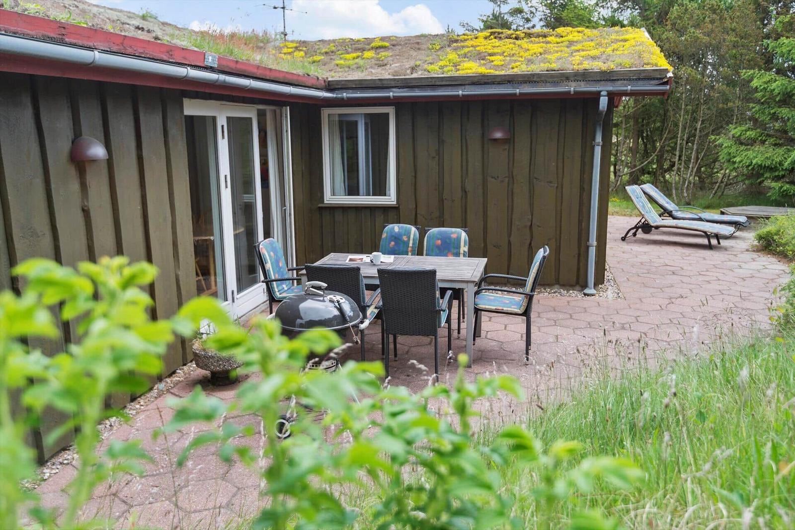 Holzhaus mit grünem Dach und rotem Schuppen. Umgeben von Bäumen und Gras.