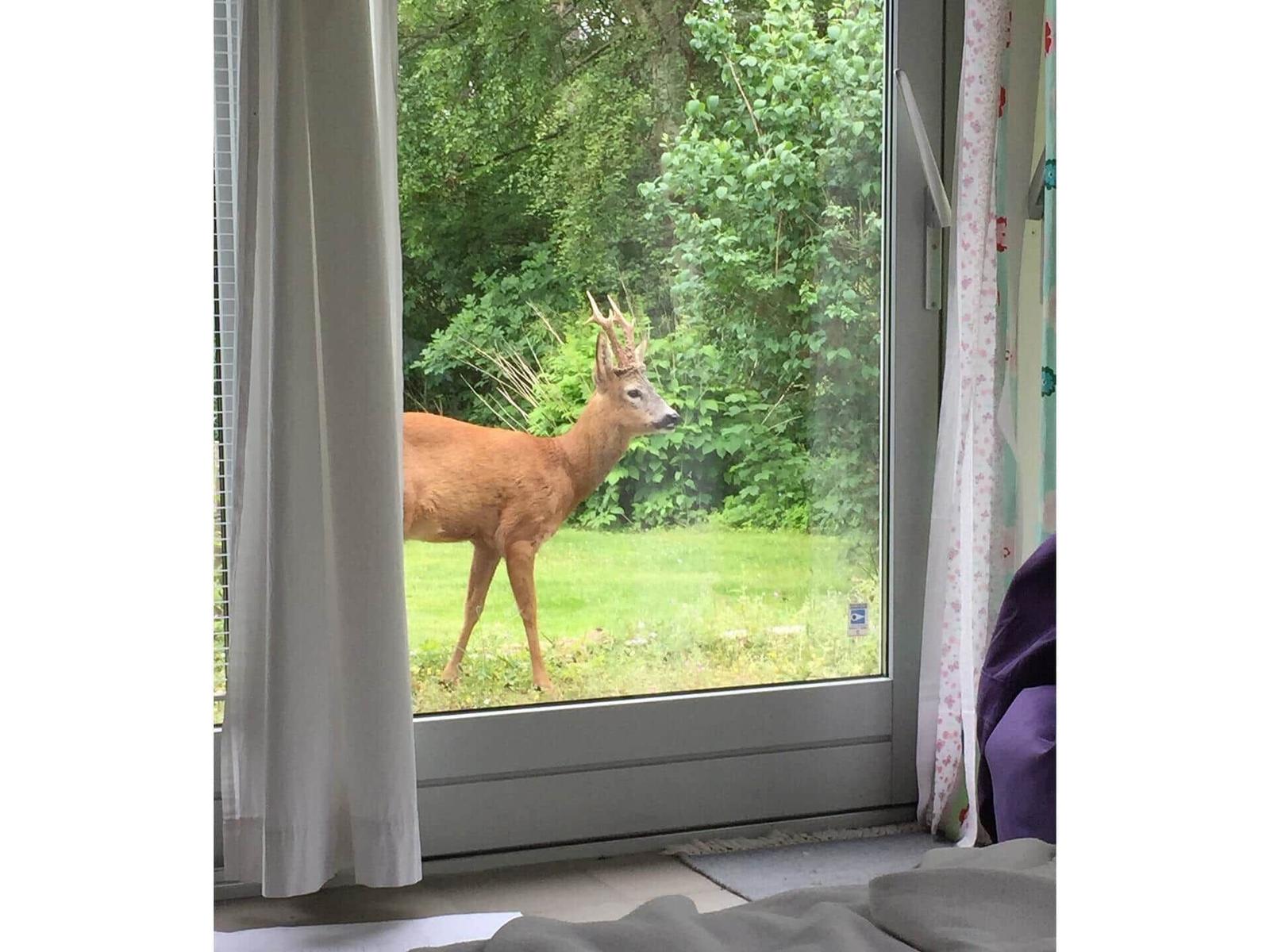 Schlafzimmer mit Bett, Fenstern und Gartenansicht.