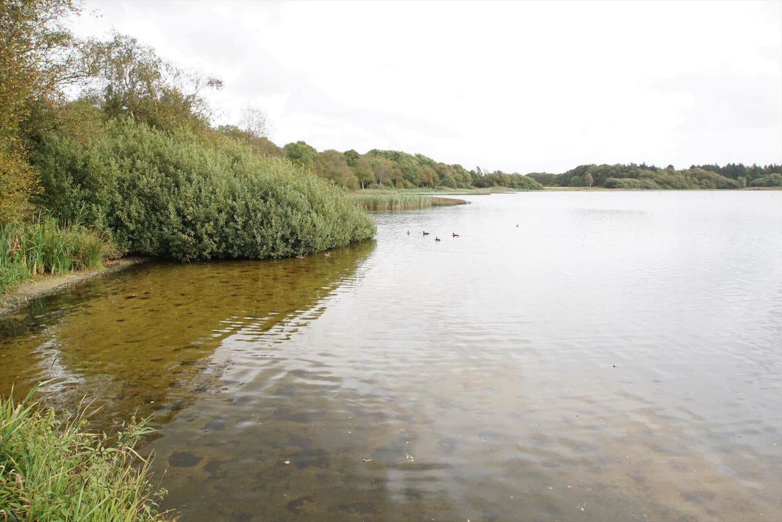 Spielplatz mit Rutsche, Klettergerüst und Schaukel am See