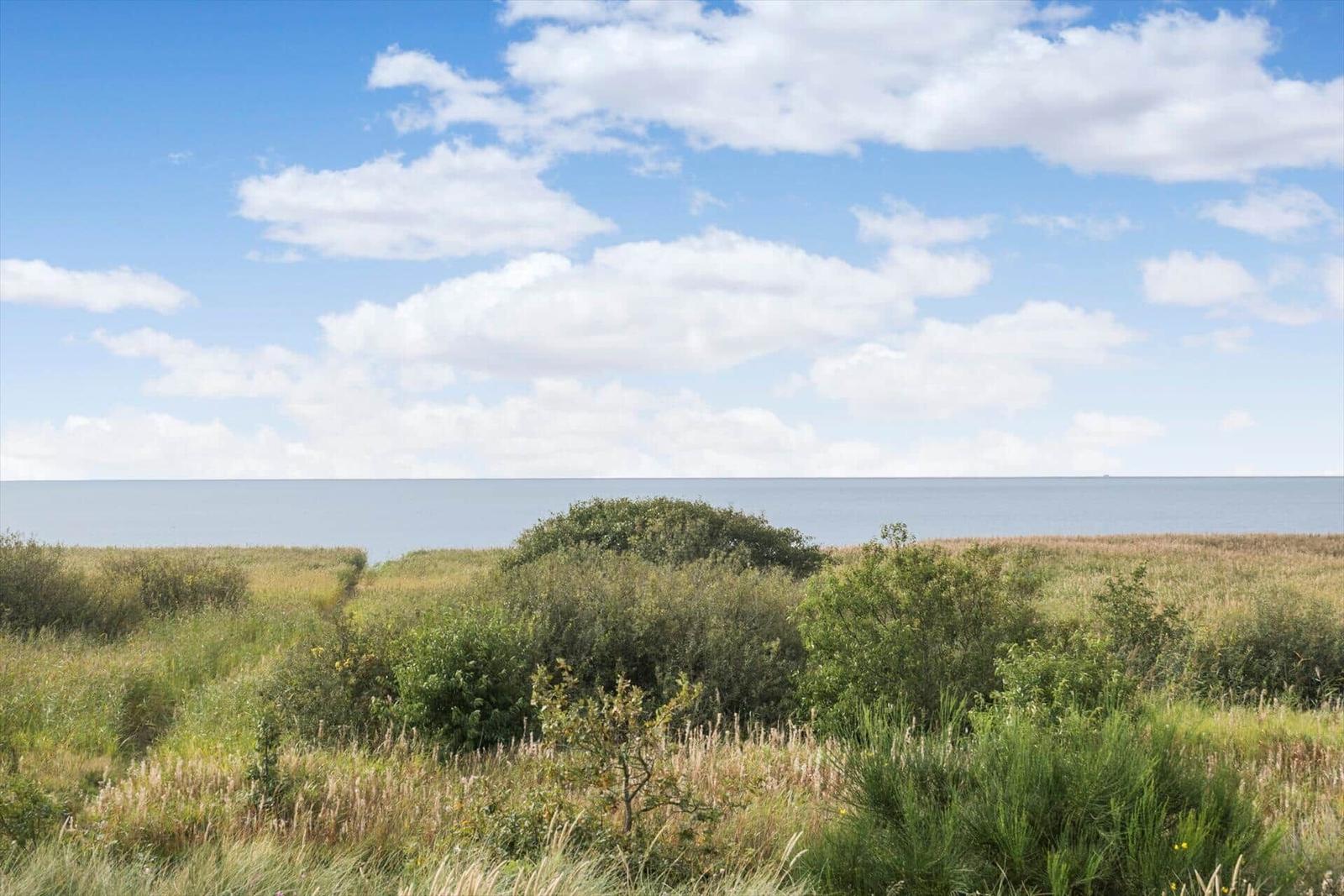 Grüne Wiesen mit Blick auf ruhiges Wasser und einen Holzstuhl