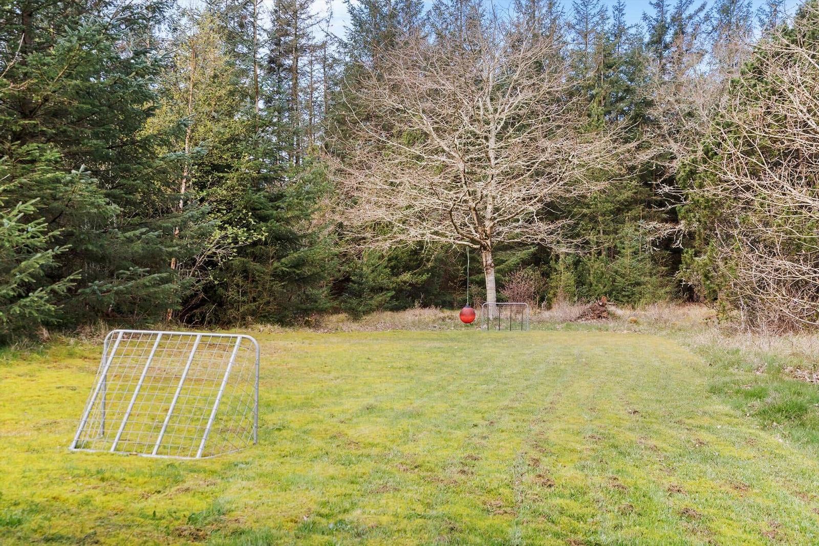 Holzterrasse mit Liegestühlen und Tisch, Blick in einen Wald mit Bäumen.