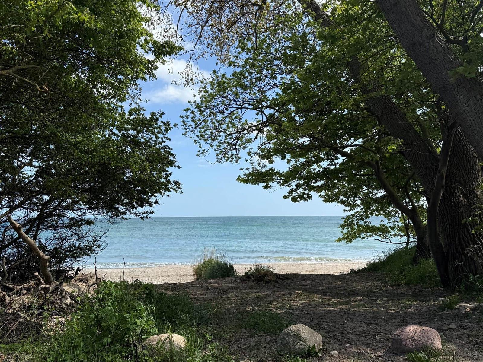 Holzsteg führt zum Strand. Grasfläche und Baum am Ufer.