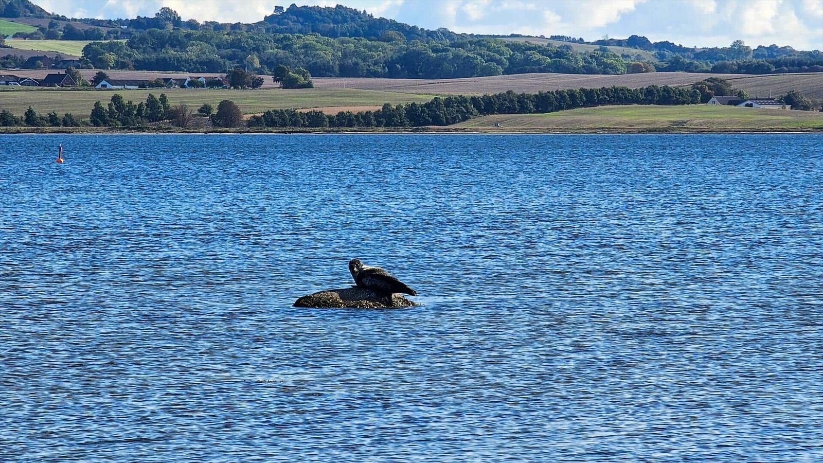 Blick auf einen See mit bewaldeten Hügeln und Häusern im Vordergrund.