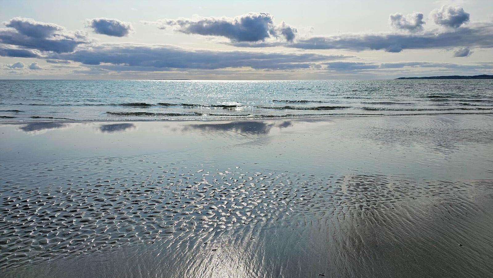 Weg entlang des Wassers mit rosa Blume im Vordergrund und Blick auf die Insel.